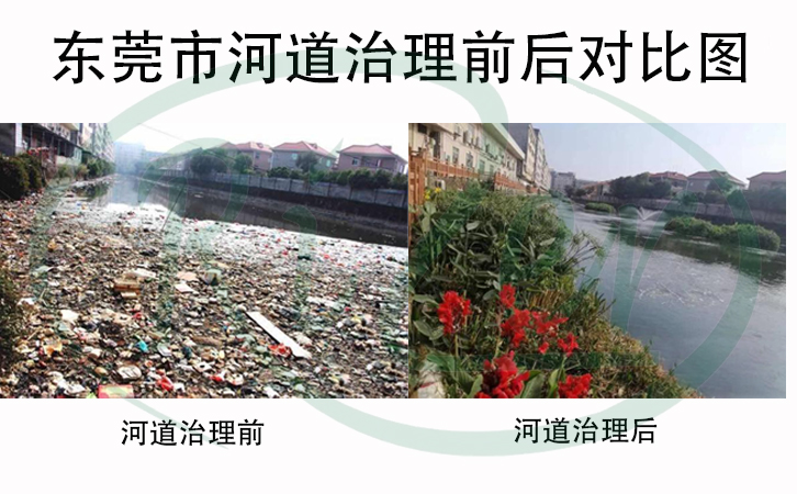 河道生態(tài)治理生態(tài)浮島技術(shù)