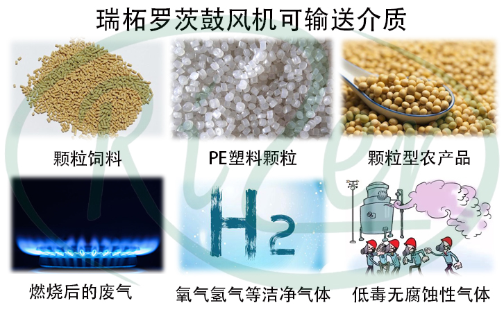 真空型羅茨鼓風(fēng)機(jī)可用范圍