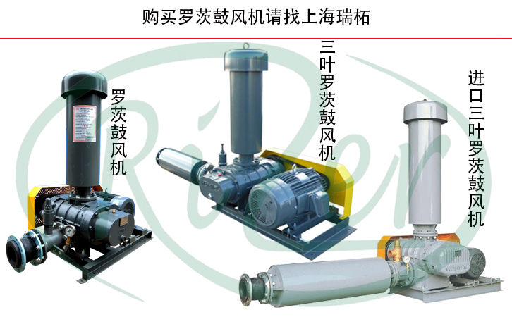 羅茨鼓風(fēng)機 羅茨鼓風(fēng)機