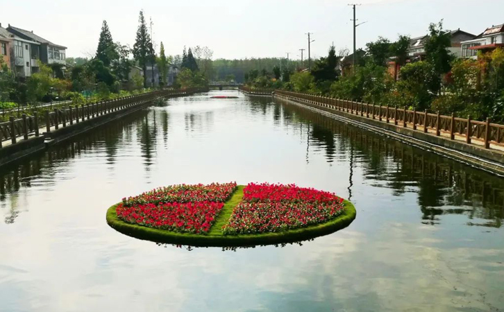 生態(tài)浮島水中花壇.jpg