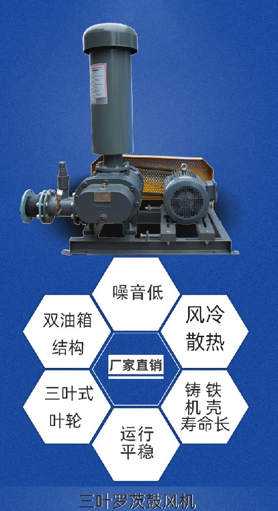三葉羅茨風(fēng)機(jī).jpg