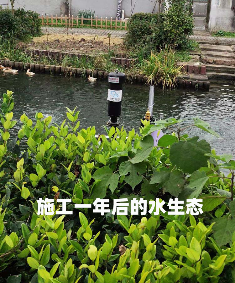 沉水羅茨風(fēng)機(jī).jpg