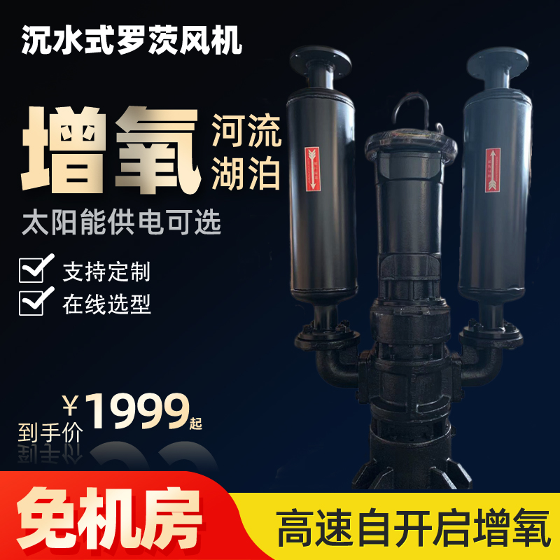 沉水式羅茨風(fēng)機.jpg